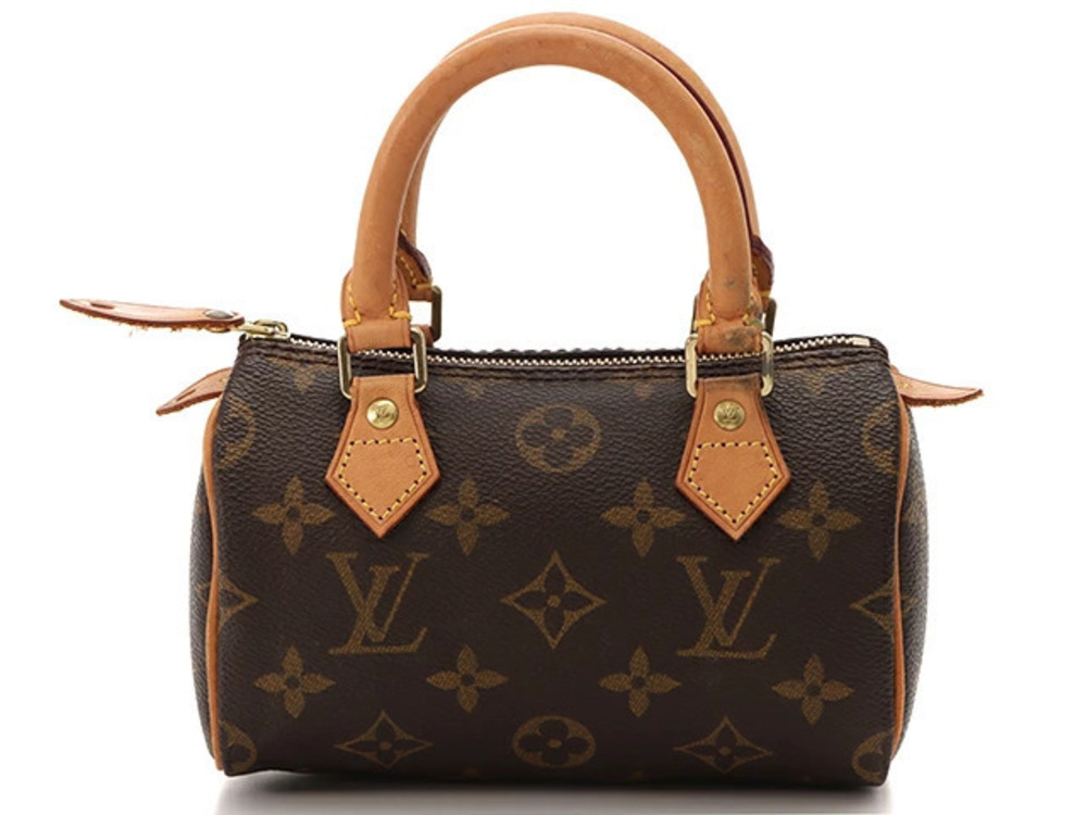 LOUIS VUITTON Speedy Handbag Monogram